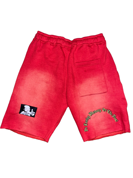 DED Faded shorts(Red)